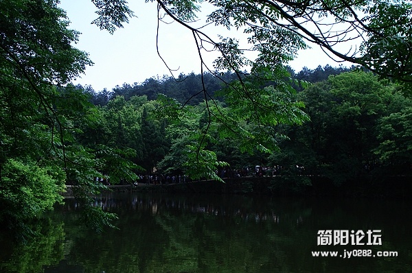 nEO_IMG_DSC04872.jpg