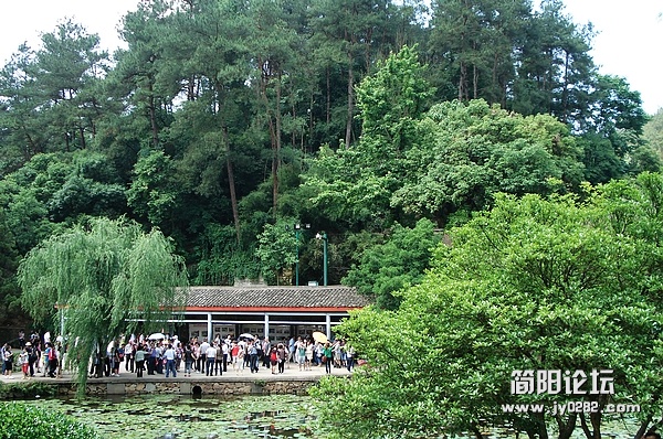 nEO_IMG_DSC04883.jpg