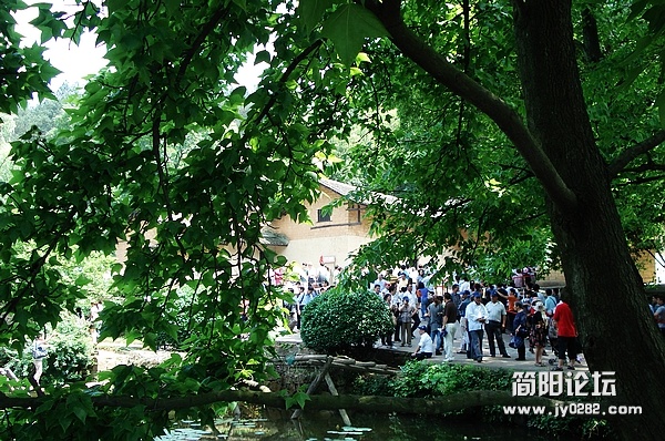 nEO_IMG_DSC04886.jpg