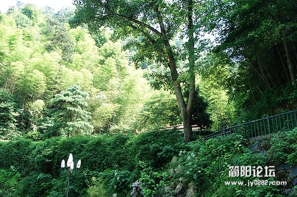 nEO_IMG_DSC04912.jpg