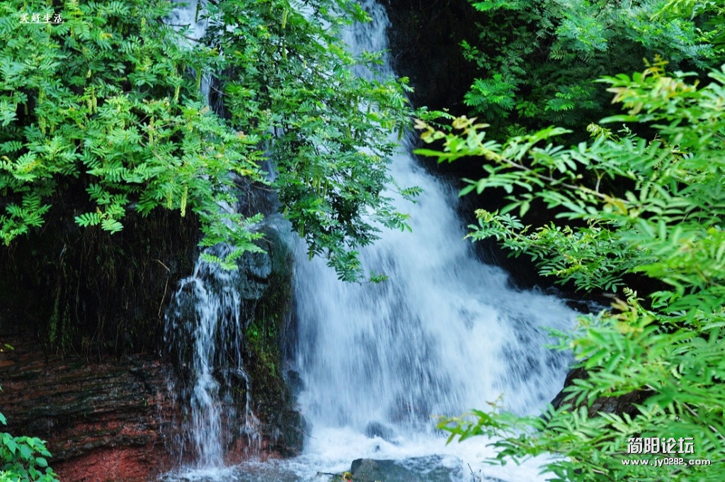 DSC_0364.jpg