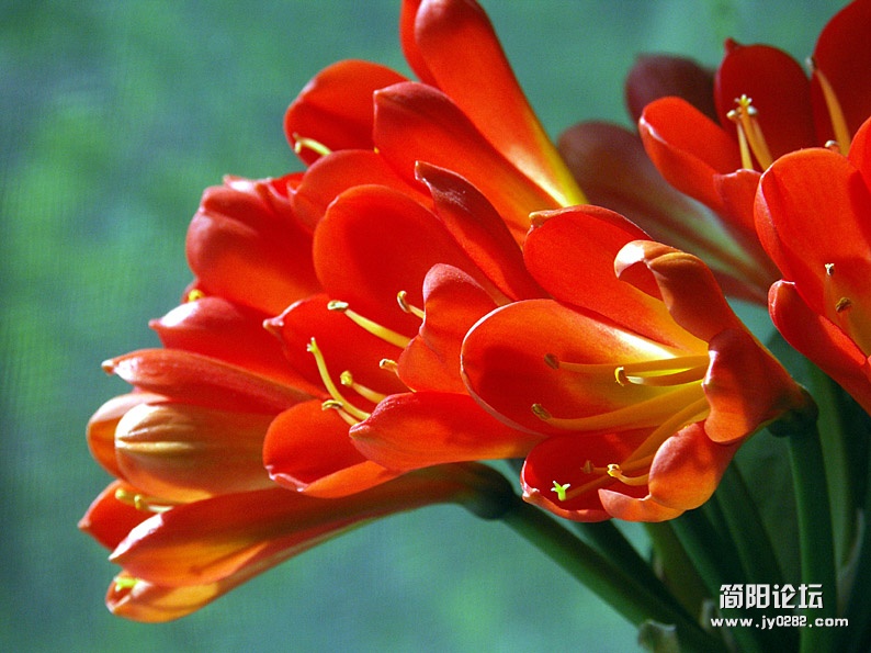 Pict0225.jpg