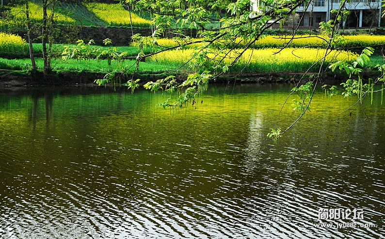 DSC_0180副本.jpg