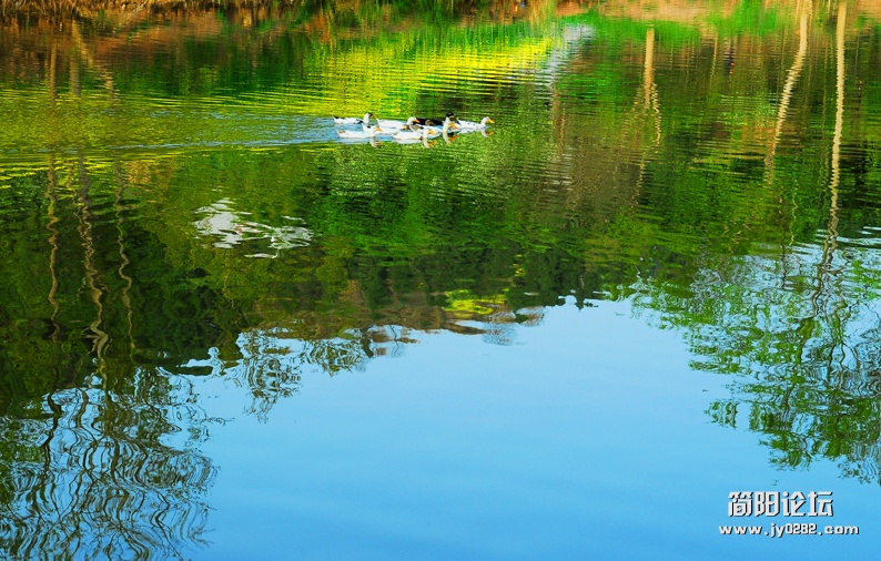 DSC_0195副本.jpg