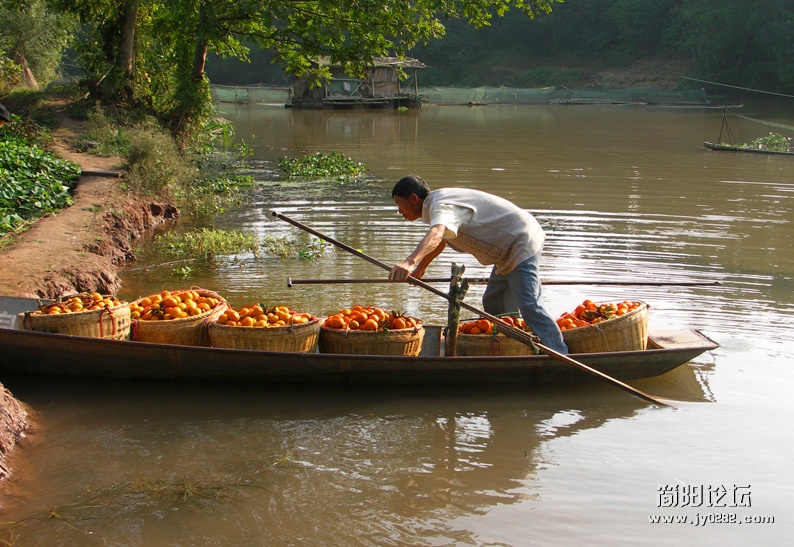 PICT0098.JPG