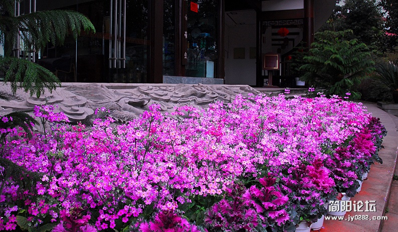 DSC_0068副本.jpg