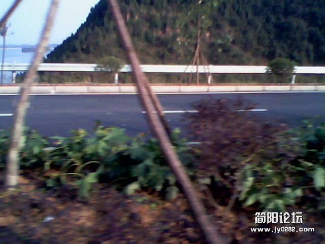 IMG0008A.jpg