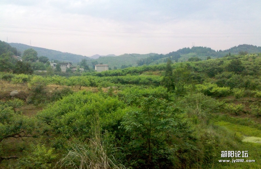 2012-05-31_07-08-52_61.jpg