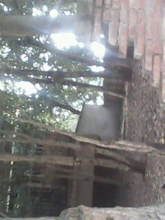IMG0096A.jpg