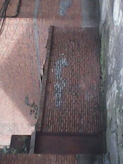 IMG0095A.jpg