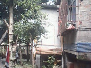 IMG0088A.jpg