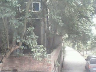 IMG0087A.jpg