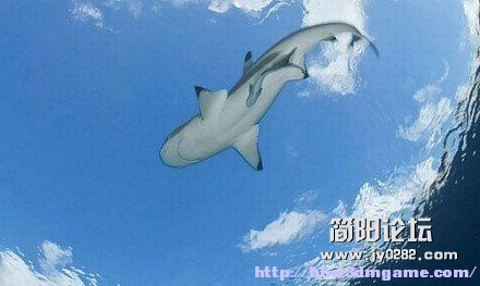 hkfj (22).jpg