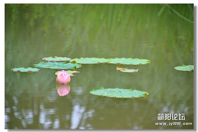 dsc_0228_副本.jpg