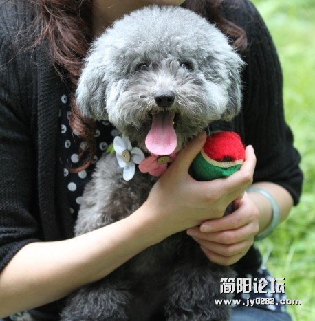 未命名10.jpg