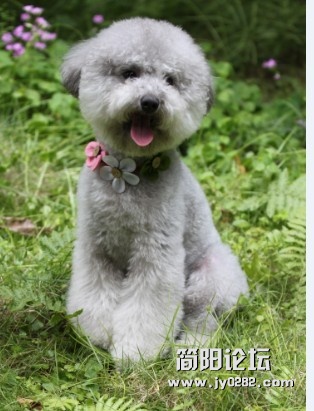 未命名6.jpg
