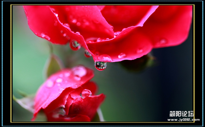 IMG_4396-wl.jpg