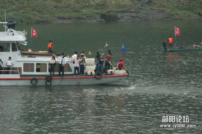 抢鸭子 (156).JPG