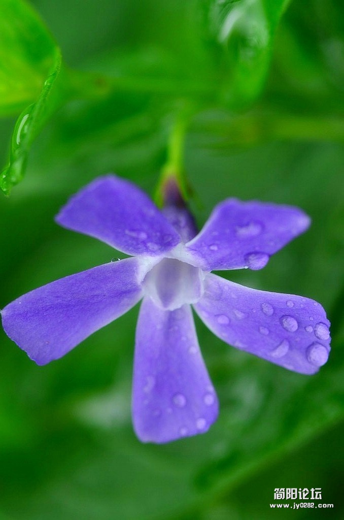 dsc_4425_副本.jpg