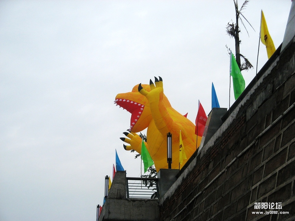 IMG_8873.jpg