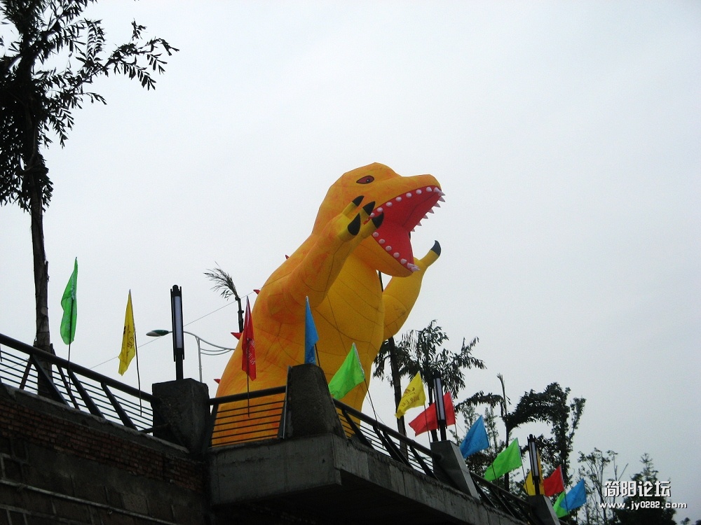 IMG_8874.jpg