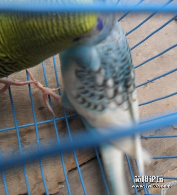 未命名4.jpg