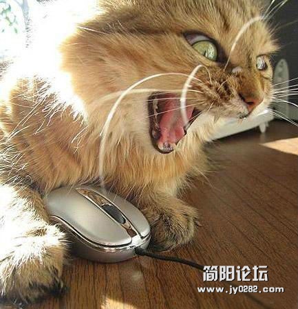 不加分你还白看呀？.jpg