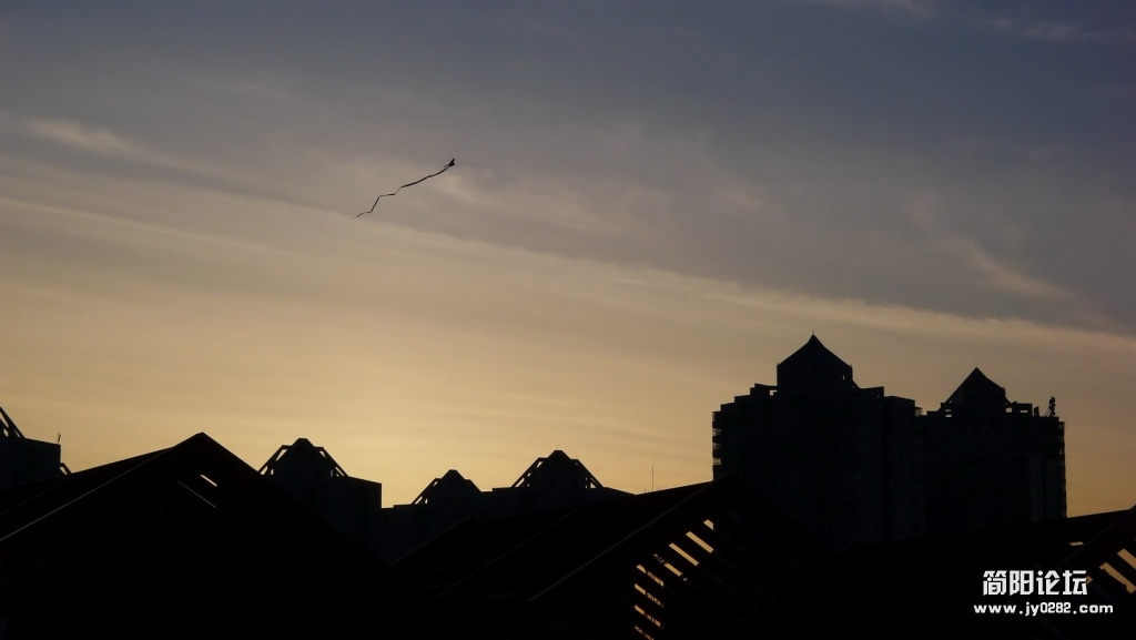 P1000057.jpg