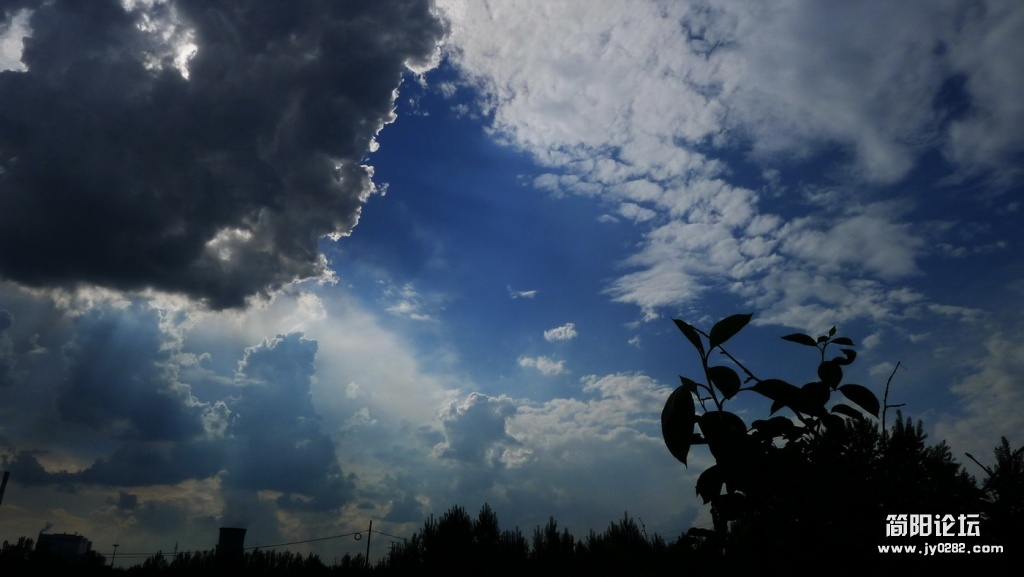 P1000428.jpg
