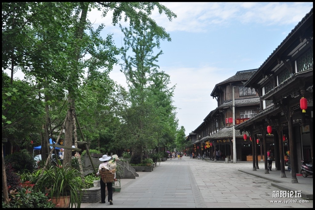 conew_dsc_0736.jpg
