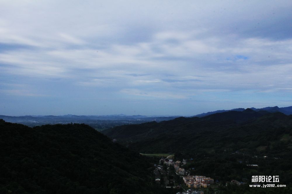 IMG_7851.jpg