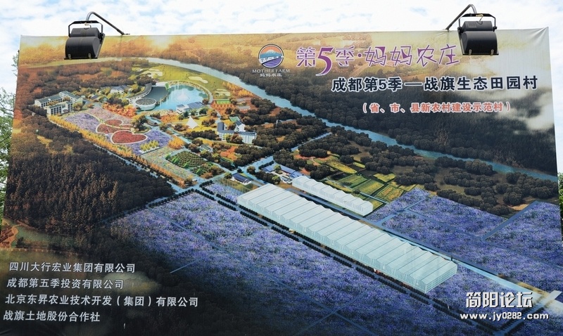 照片197.jpg