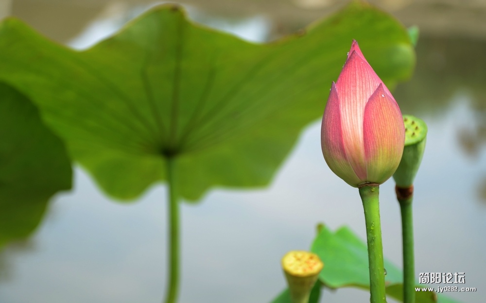 照片 488.jpg