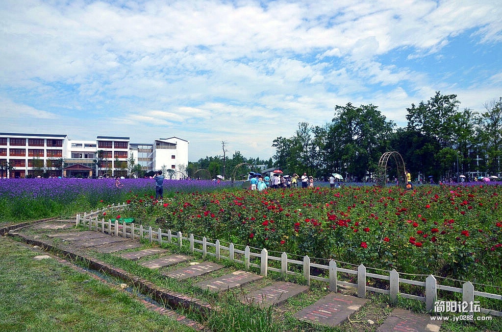 DSC_1244.jpg