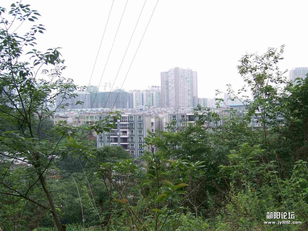 精华逸景城北高层