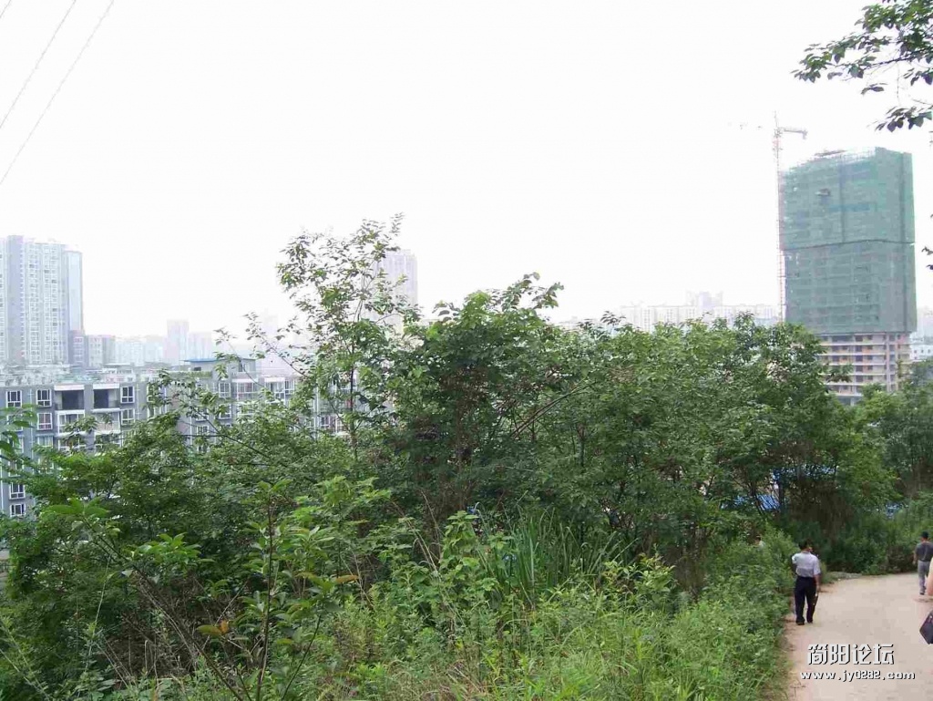 城北市场新修电梯公寓