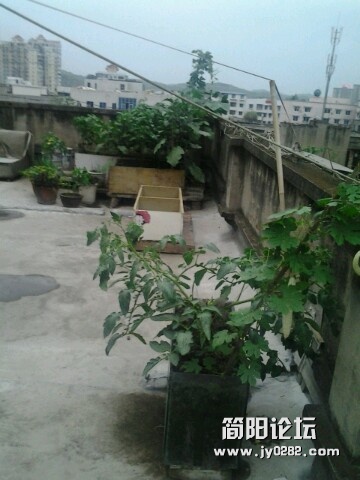 IMG20120615194518.jpg