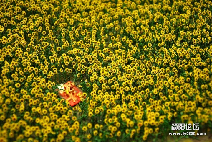 mx (19).jpg
