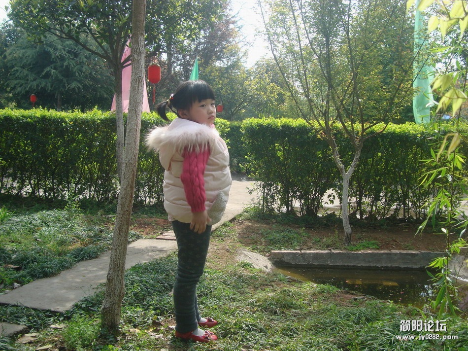 DSC027111556.JPG
