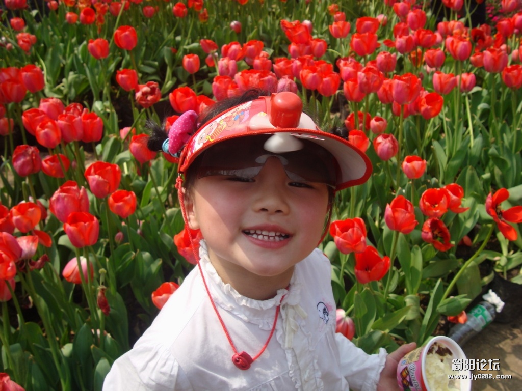 DSC0256816516.JPG