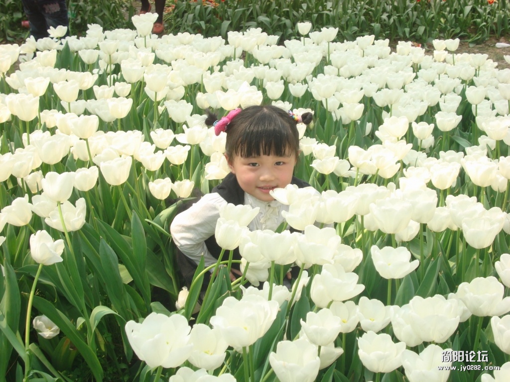 DSC02612566.JPG