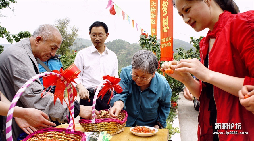 樱桃文化（组照）-3-简礼.jpg