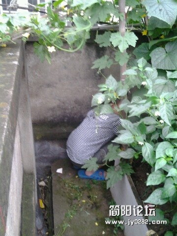 IMG20120617222313.jpg