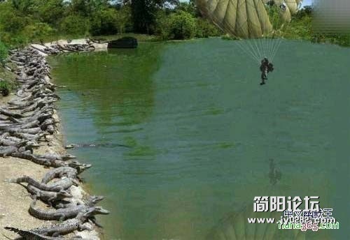 个.jpg