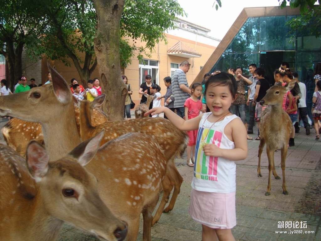 DSC0464465156.JPG