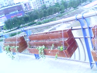 IMG0471A.jpg