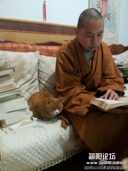 颇爱冷笑话的延参法师回复网友对考试的提问时称，“认真考试，仔细答题，可以适当的看.jpg