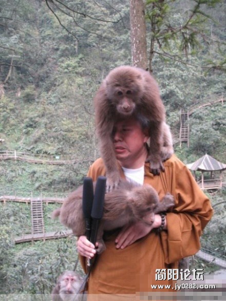 他在山上讲经时遭猴子“戏耍”，却毫不生气，反而发微博，“也许前世的分别太匆匆，今.jpg