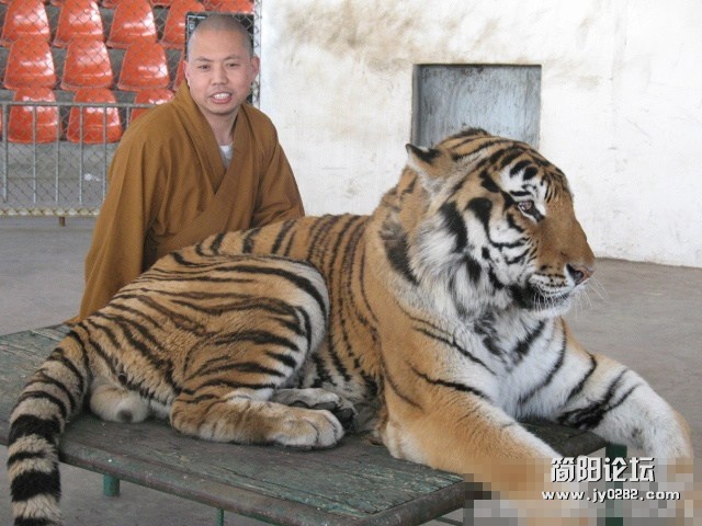喜爱动物的延参法师01。（图片来源于延参法师微博）.jpg