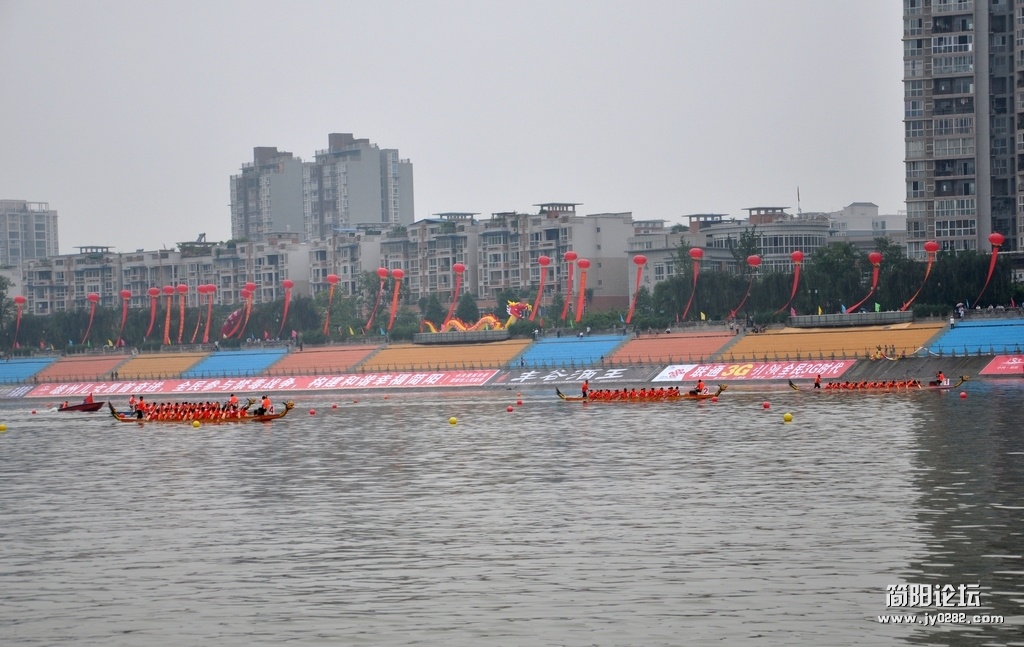 DSC_0242.jpg